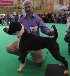 Kevanor Anastasia at Crufts 2011